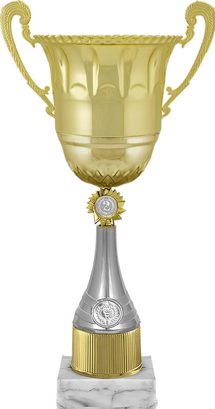 Кубок Ойла 1,2,3 место 5996-400-002
