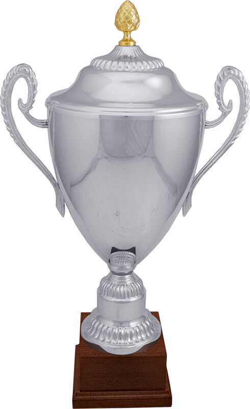 Кубок Иркутск 6002-640-200