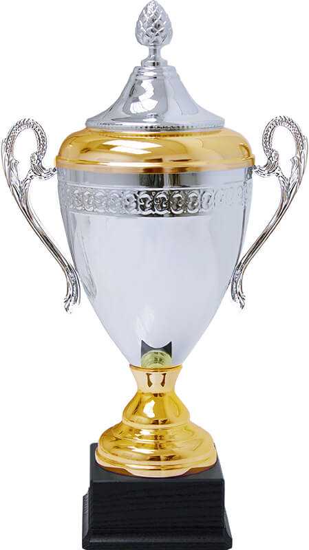 Кубок Витебск 6034-460-201