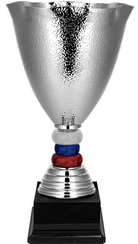 Кубок Тюмень 6094-380-200