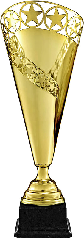 Кубок Якутск 6099-460-100