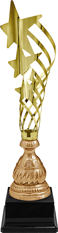 Кубок Робби 6133-500-300