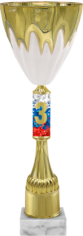 Кубок Алтай 1,2,3 место 6539-540-103