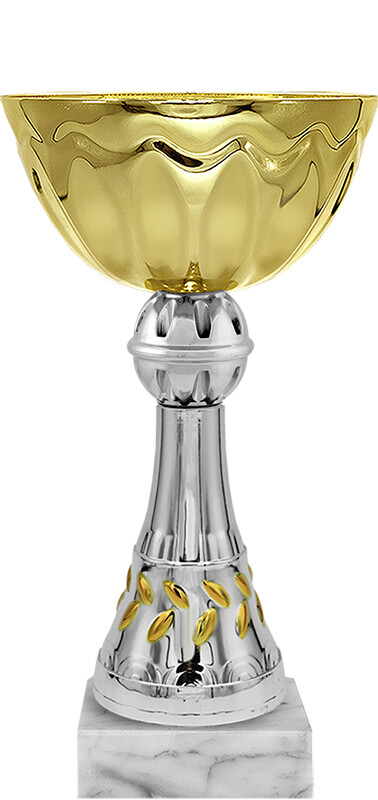 Кубок Лилль 6546-150-100