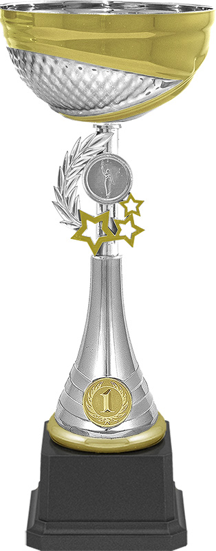 Кубок Емира 1,2,3 место 6908-330-201
