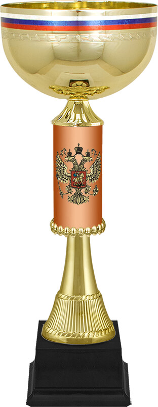 Кубок Артек 6994-350-300