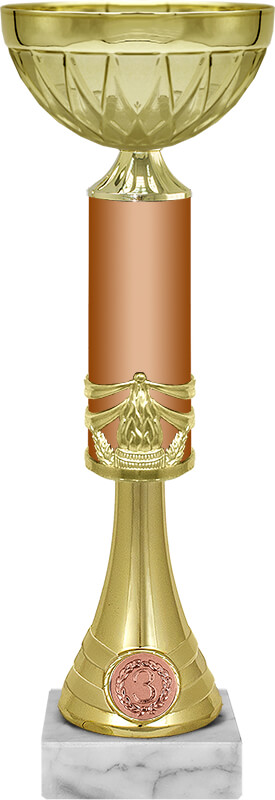 Кубок Доминик 1,2,3 место 6998-350-300