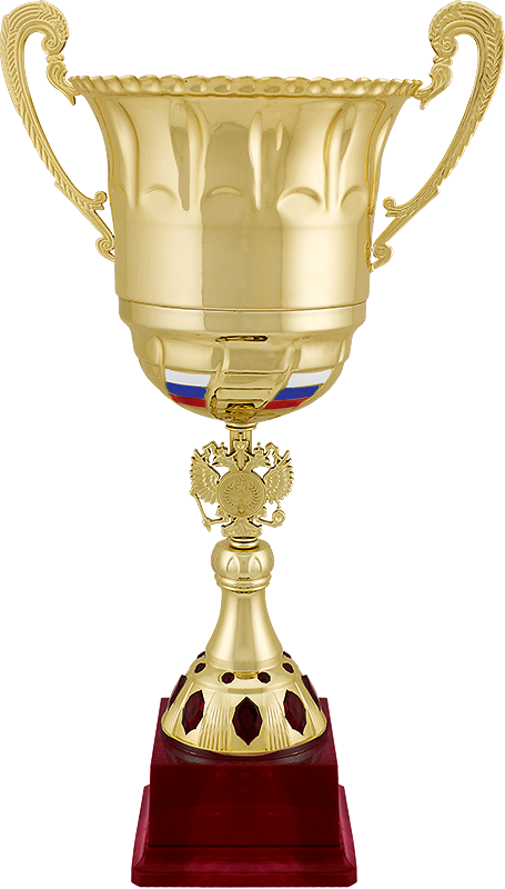 Кубки для награждения в Ростове