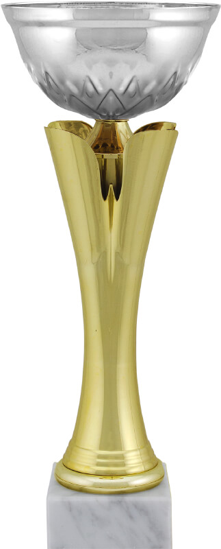 Кубок Аурика 8635-300-200