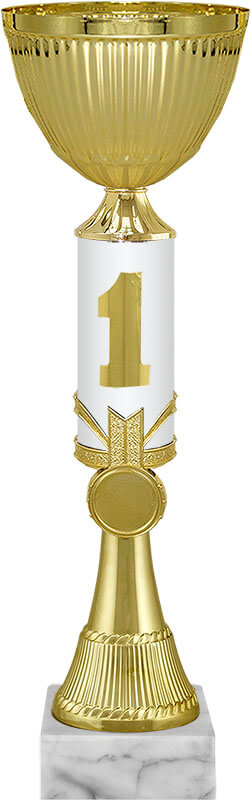 Кубок Гантэр 1,2,3 место 9841-340-101