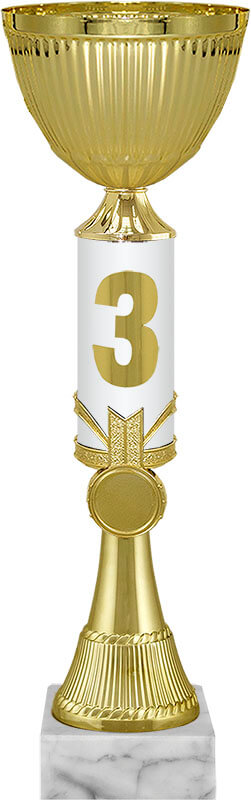 Кубок Гантэр 1,2,3 место 9841-340-103